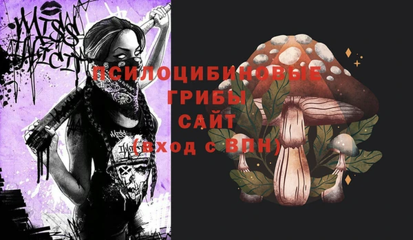 хмурый Белоозёрский